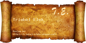 Triebel Elek névjegykártya